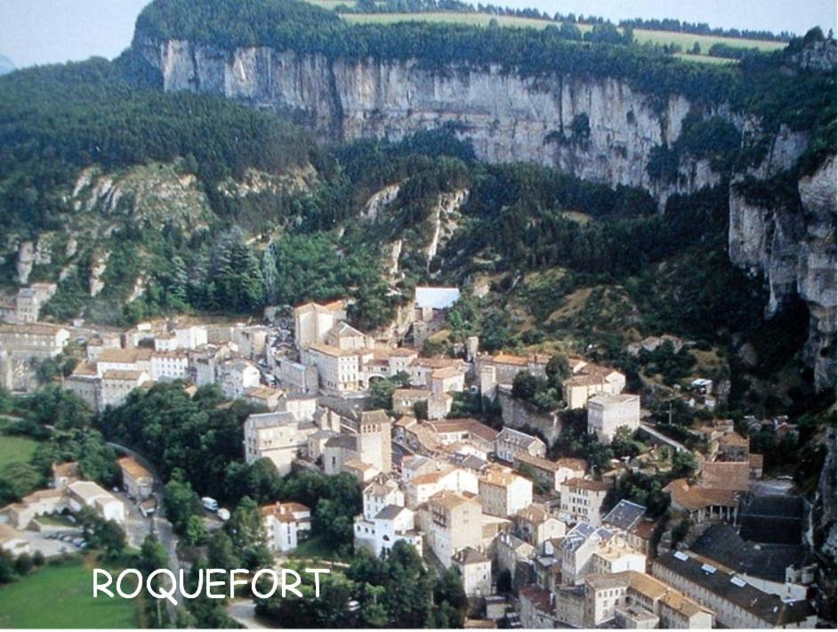 Les Palmiers Des Causses Vila Saint-Rome-de-Tarn Exterior foto