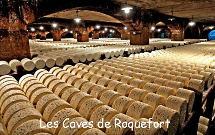Les Palmiers Des Causses Vila Saint-Rome-de-Tarn Exterior foto