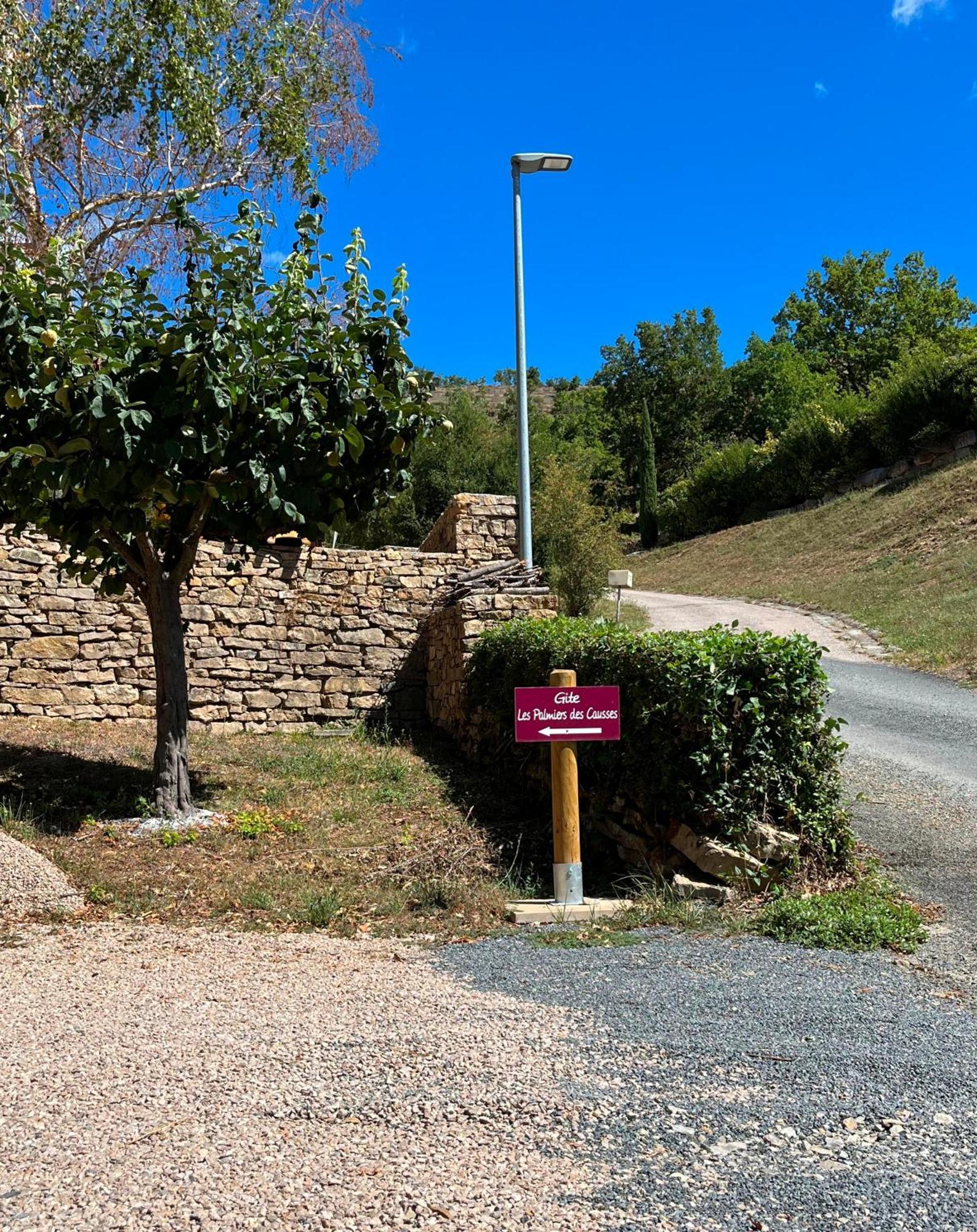 Les Palmiers Des Causses Vila Saint-Rome-de-Tarn Exterior foto